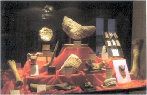 Museo del sottosuolo di Latiano